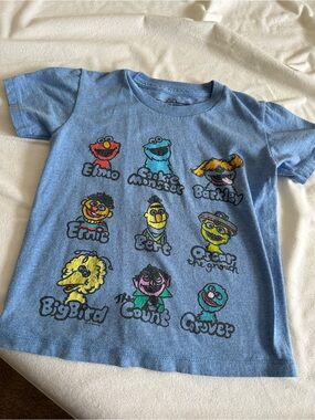 Sesame Street Kids' Light Blue Character T-Shirt